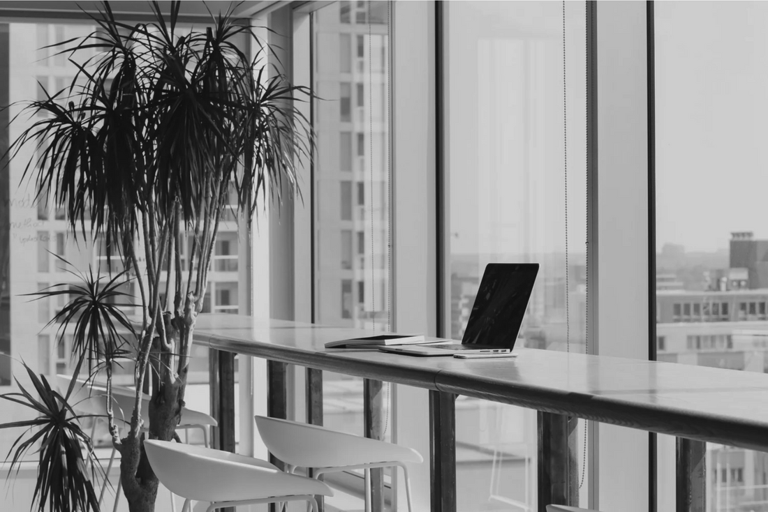 Don't Start A Shopify Store Until You Read This