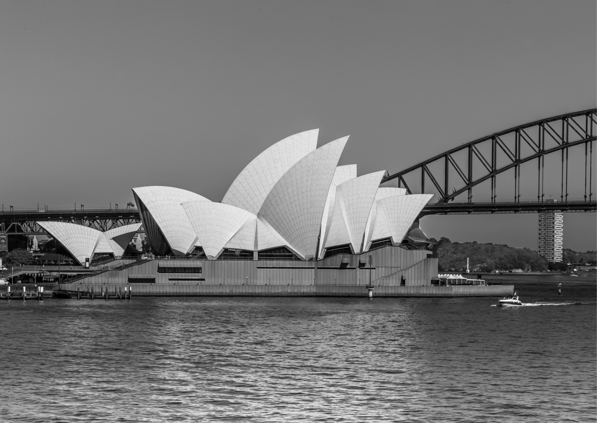 Your Go-to Shopify Agency in Australia