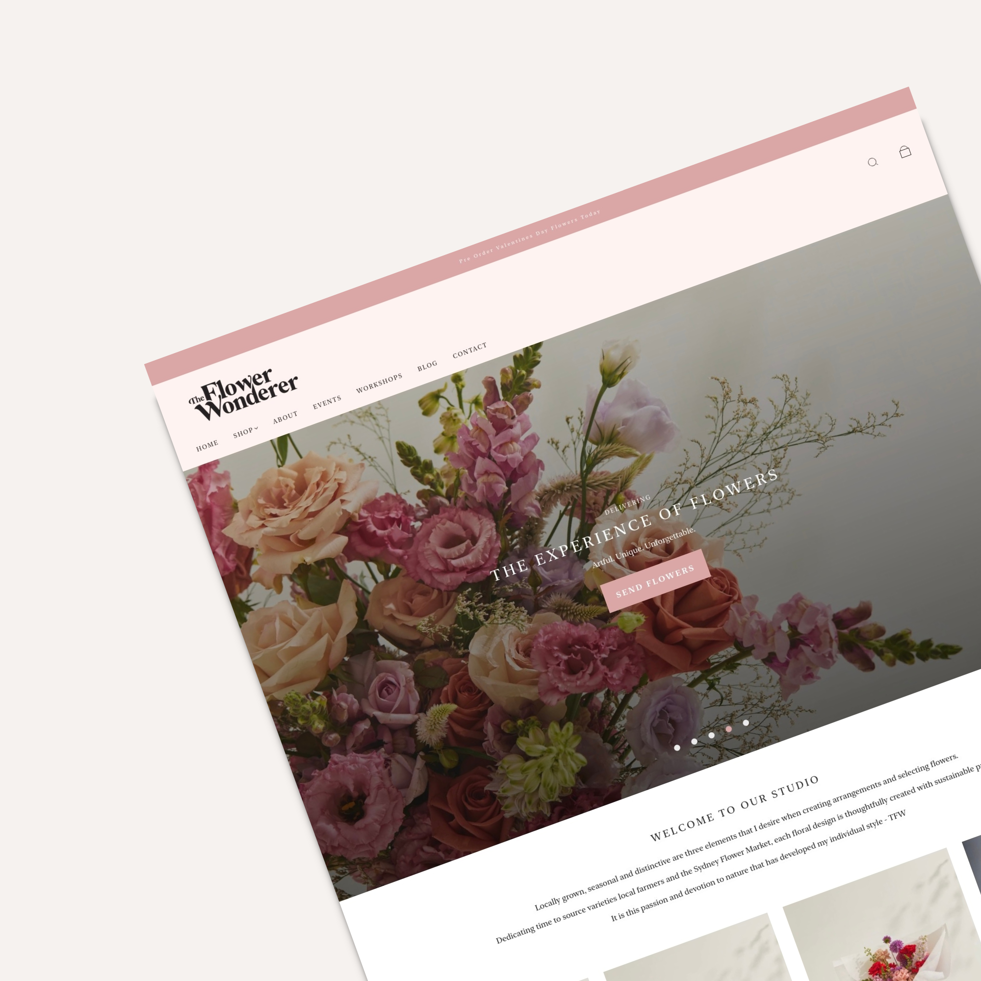 Shopify Development